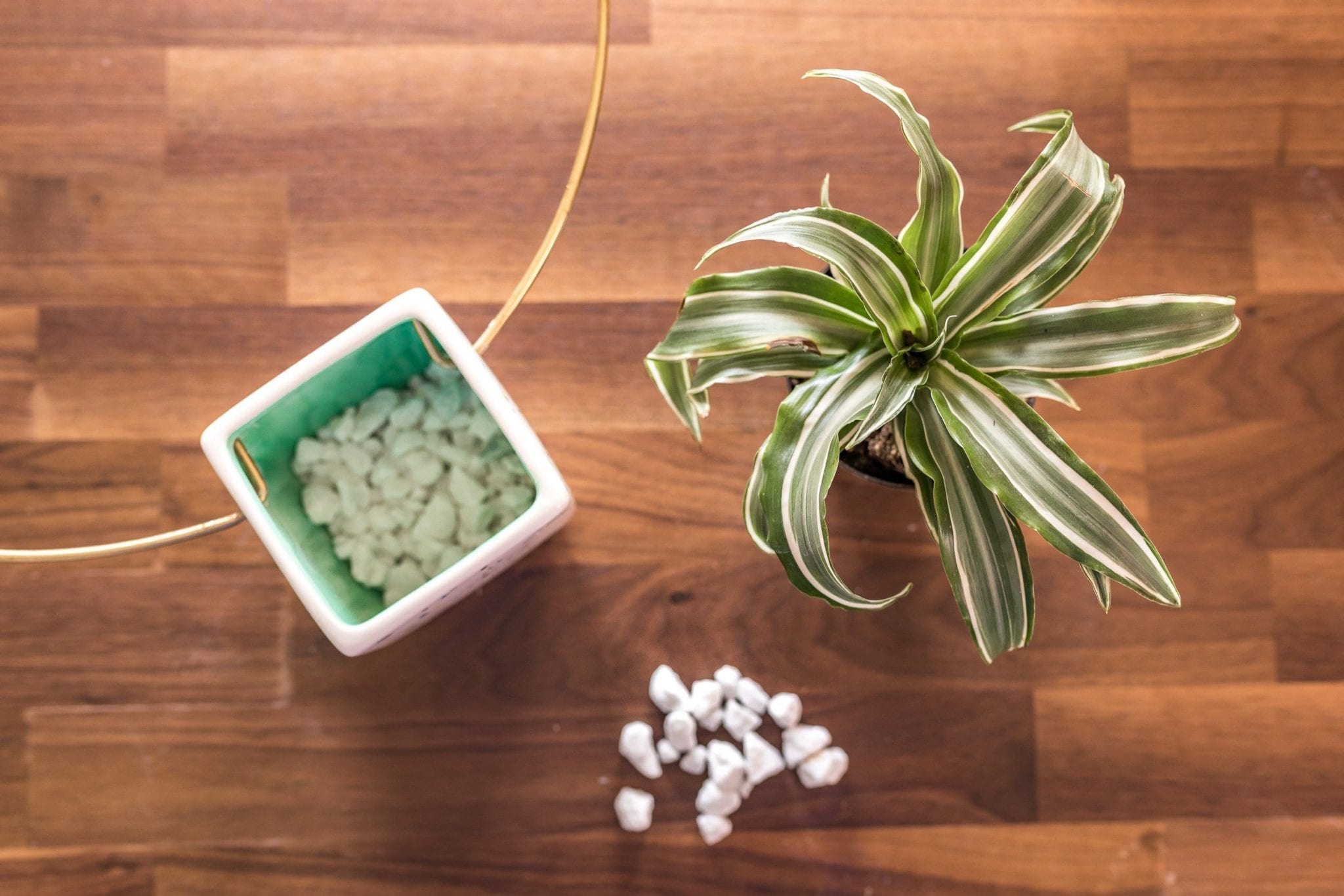 Add Indoor Plants and DIY Planters